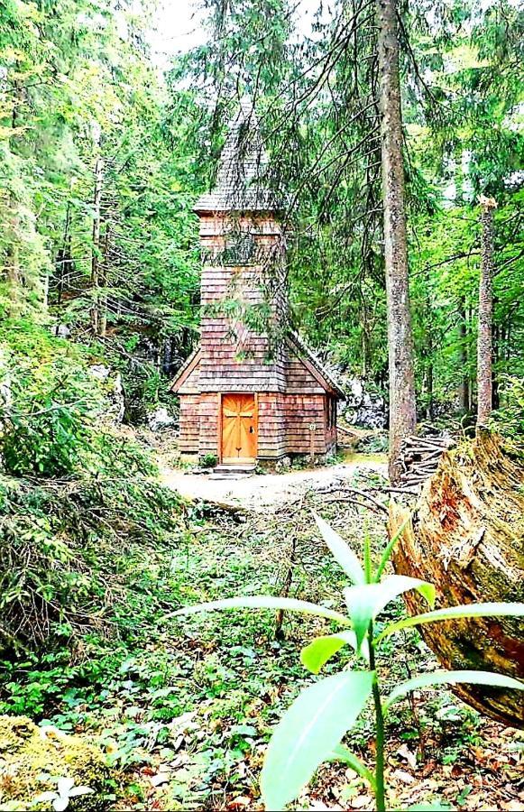 Tauglerei Appartement Bernstein In Den Zauberbergen Sankt Koloman Екстер'єр фото