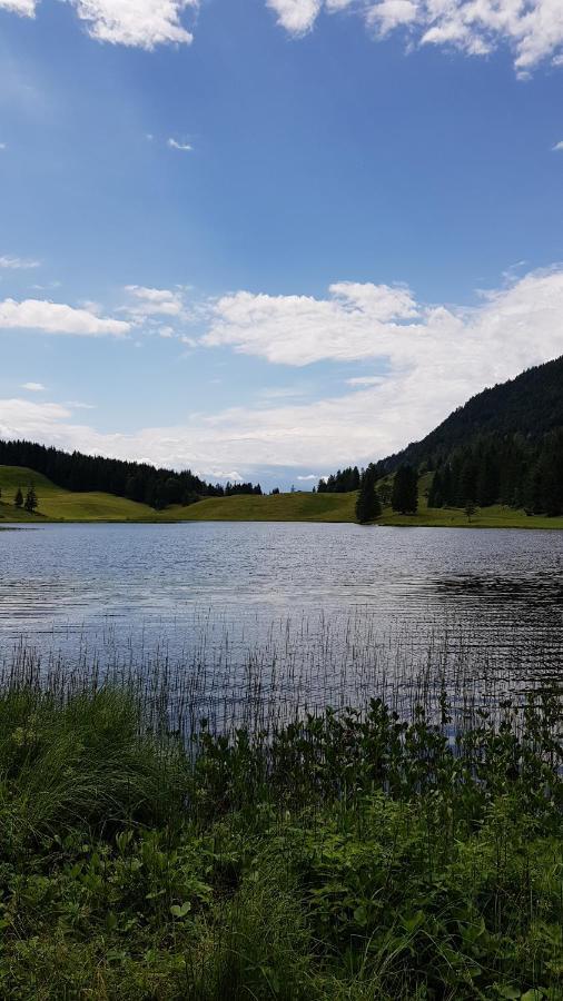 Tauglerei Appartement Bernstein In Den Zauberbergen Sankt Koloman Екстер'єр фото