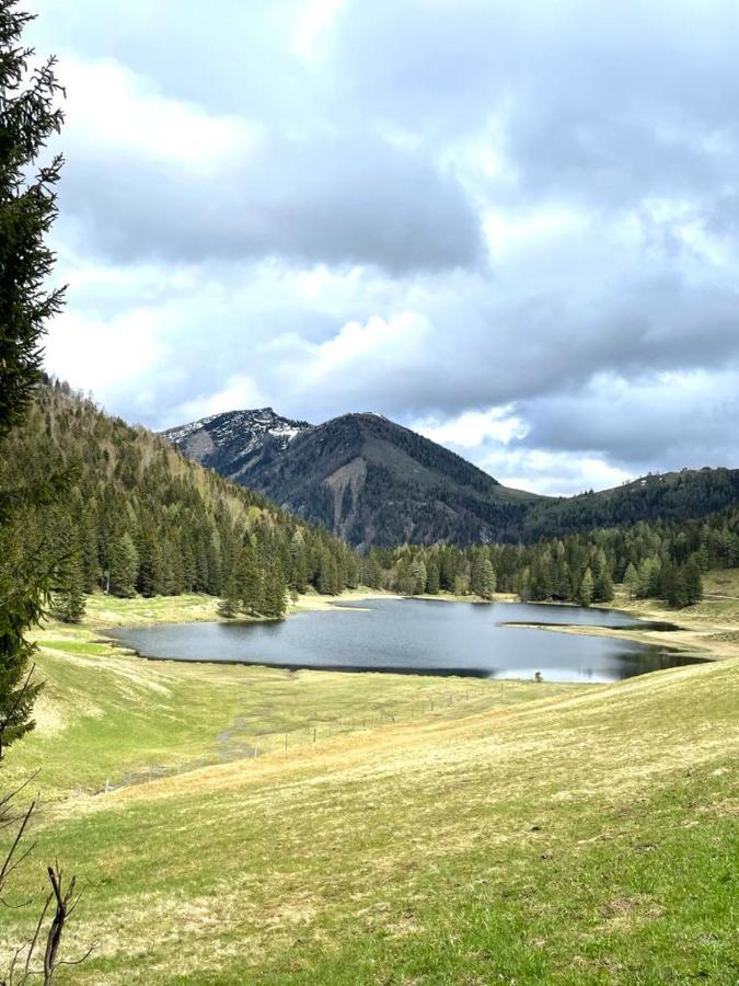 Tauglerei Appartement Bernstein In Den Zauberbergen Sankt Koloman Екстер'єр фото